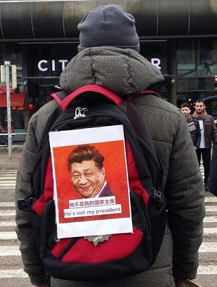 FDC member Li Fang in Finland 4